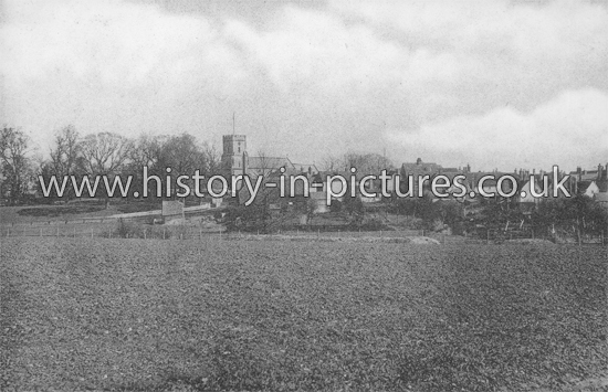 Chipping Hill from Gravel Field, Witham, Essex. c.1905